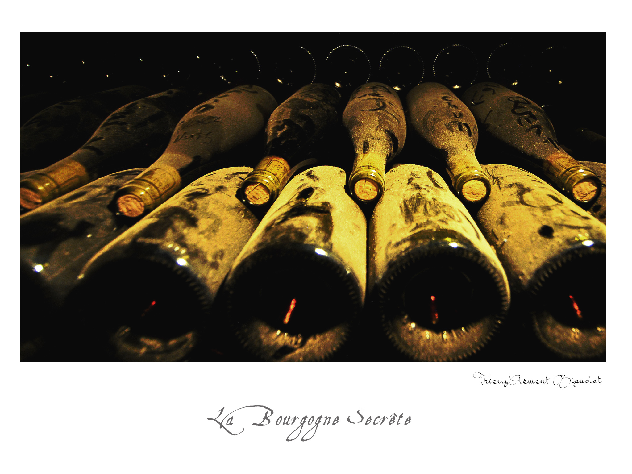 015 BOURGOGNE2016 20481